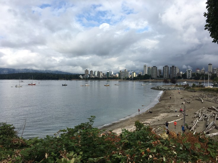 20170813_182731377_iOS