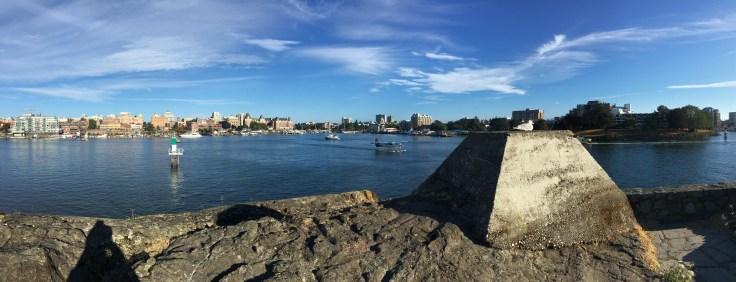 20170816_012122194_iOS