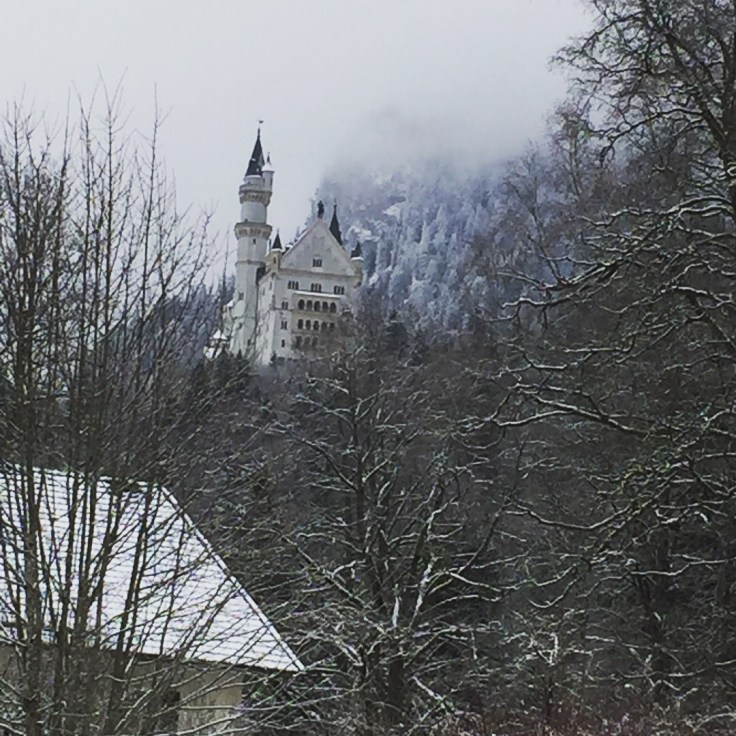 20180219_112804568_iOS