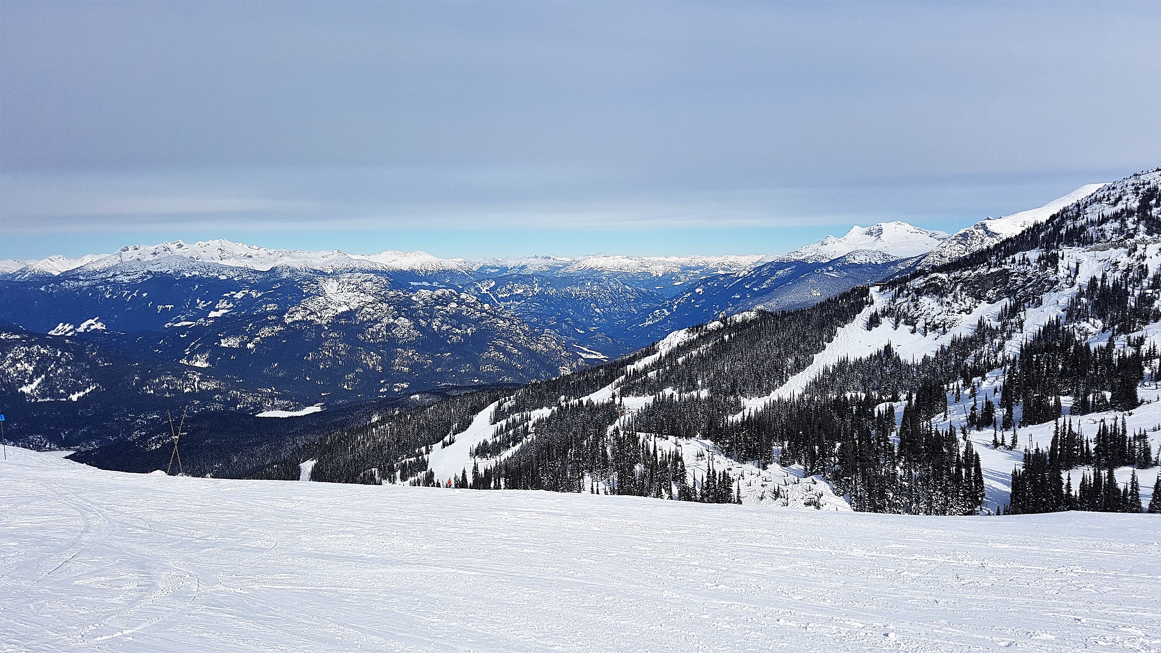 20190211_171048031_iOS