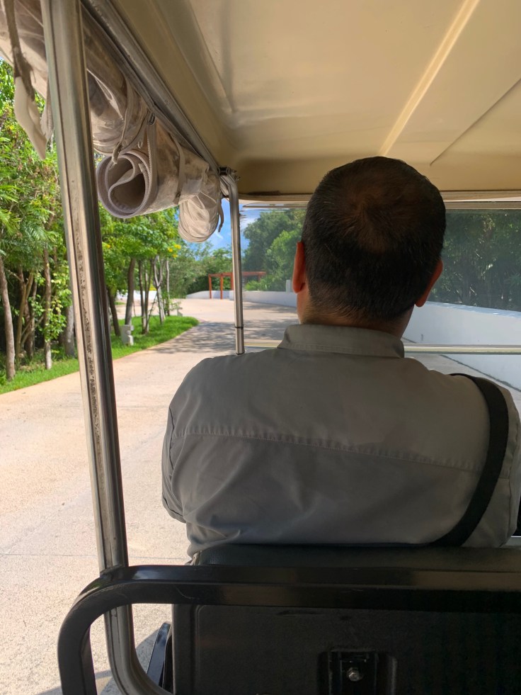 20191026_173114943_iOS